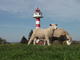 Benutzerbild von lighthouse