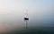 Benutzerbild von SY Rubin