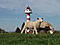 Benutzerbild von lighthouse