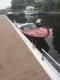 Benutzerbild von Sea Ray SRV 90