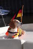 Profilbild von beaglepaul