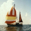 Profilbild von segelnderfriese