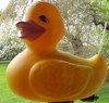 Profilbild von Yellow-Duck