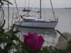 Profilbild von sailaway67