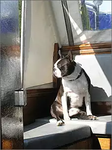 Klicken Sie auf die Grafik fr eine grere Ansicht

Name:	Bosti.jpg
Hits:	730
Gre:	43,2 KB
ID:	100603