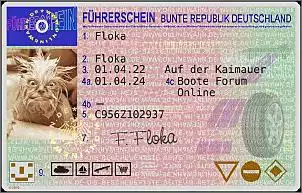 Klicken Sie auf die Grafik fr eine grere Ansicht

Name:	Fuehrerschein_Best-Nr_F09035F3.jpg
Hits:	30
Gre:	76,1 KB
ID:	1010056