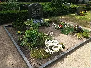 Klicken Sie auf die Grafik fr eine grere Ansicht

Name:	20240522_133700_kapitale_Sommerthur_Roebel_Friedhof.jpg
Hits:	18
Gre:	167,4 KB
ID:	1015786