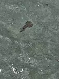 Klicken Sie auf die Grafik fr eine grere Ansicht

Name:	20240603_130011.jpg
Hits:	27
Gre:	134,5 KB
ID:	1017073