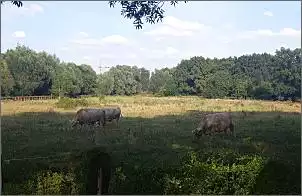 Klicken Sie auf die Grafik fr eine grere Ansicht

Name:	20240801_182015_kapitale_Sommerthur_Gatow.jpg
Hits:	34
Gre:	86,8 KB
ID:	1022397
