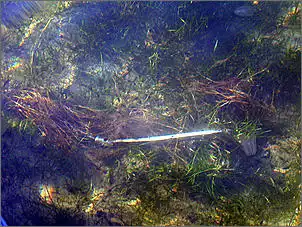 Klicken Sie auf die Grafik für eine größere Ansicht

Name:	m-anker.jpg
Hits:	799
Größe:	84,9 KB
ID:	106436