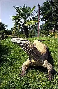 Klicken Sie auf die Grafik fr eine grere Ansicht

Name:	komodowaran.jpg
Hits:	214
Gre:	44,4 KB
ID:	134755