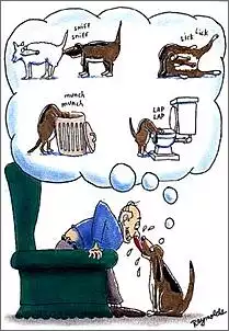 Klicken Sie auf die Grafik fr eine grere Ansicht

Name:	Hundewitze_13140.jpg
Hits:	703
Gre:	25,8 KB
ID:	153380