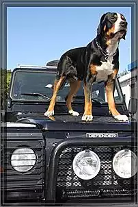 Klicken Sie auf die Grafik fr eine grere Ansicht

Name:	BootVerkauf_0075.jpg
Hits:	452
Gre:	44,0 KB
ID:	158752