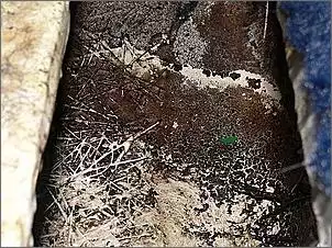 Klicken Sie auf die Grafik fr eine grere Ansicht

Name:	bilge3.jpg
Hits:	415
Gre:	82,9 KB
ID:	161214