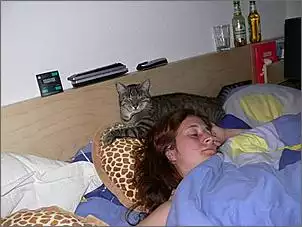 Klicken Sie auf die Grafik fr eine grere Ansicht

Name:	toni.jpg
Hits:	993
Gre:	32,0 KB
ID:	172058