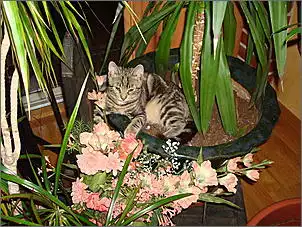 Klicken Sie auf die Grafik fr eine grere Ansicht

Name:	DSC00516.jpg
Hits:	599
Gre:	69,9 KB
ID:	172326
