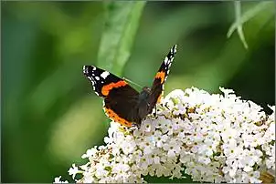 Klicken Sie auf die Grafik fr eine grere Ansicht

Name:	Imgp8615.jpg
Hits:	109
Gre:	35,2 KB
ID:	174045