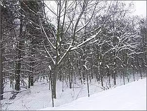 Klicken Sie auf die Grafik fr eine grere Ansicht

Name:	schnee.jpg
Hits:	216
Gre:	76,5 KB
ID:	178493