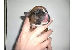 Klicken Sie auf die Grafik fr eine grere Ansicht

Name:	heidi 1.jpg
Hits:	914
Gre:	29,8 KB
ID:	191837