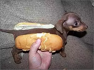 Klicken Sie auf die Grafik fr eine grere Ansicht

Name:	hotdog.jpg
Hits:	285
Gre:	43,6 KB
ID:	194290