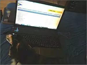 Klicken Sie auf die Grafik fr eine grere Ansicht

Name:	billybf.jpg
Hits:	483
Gre:	42,6 KB
ID:	209160