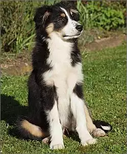 Klicken Sie auf die Grafik fr eine grere Ansicht

Name:	Unbenannt.jpg
Hits:	480
Gre:	48,0 KB
ID:	209161
