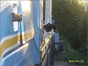Klicken Sie auf die Grafik fr eine grere Ansicht

Name:	V8 1339.jpg
Hits:	991
Gre:	39,2 KB
ID:	219488