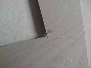 Klicken Sie auf die Grafik fr eine grere Ansicht

Name:	Holz3.jpg
Hits:	85
Gre:	22,0 KB
ID:	228818