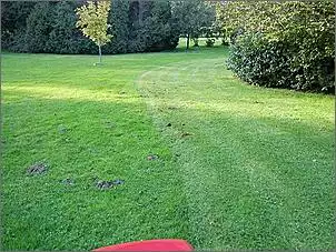 Klicken Sie auf die Grafik fr eine grere Ansicht

Name:	05_Maulwurfhgel.jpg
Hits:	512
Gre:	69,5 KB
ID:	234590
