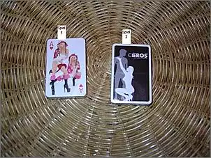 Klicken Sie auf die Grafik fr eine grere Ansicht

Name:	Kartenspiel 003.jpg
Hits:	245
Gre:	57,7 KB
ID:	249725