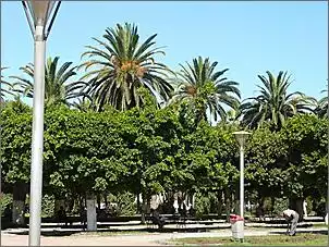 Klicken Sie auf die Grafik fr eine grere Ansicht

Name:	Rabat.jpg
Hits:	106
Gre:	69,5 KB
ID:	257883