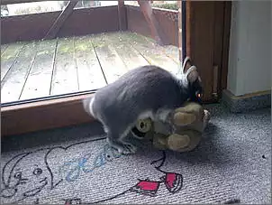 Klicken Sie auf die Grafik fr eine grere Ansicht

Name:	Bild007.jpg
Hits:	155
Gre:	43,5 KB
ID:	272377
