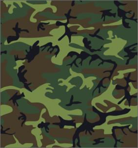 Klicken Sie auf die Grafik fr eine grere Ansicht

Name:	camouflage.png
Hits:	223
Gre:	67,6 KB
ID:	273763