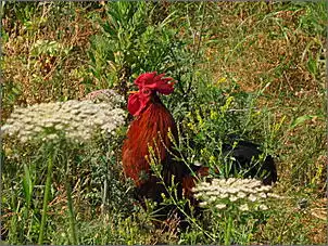 Klicken Sie auf die Grafik fr eine grere Ansicht

Name:	IMG_1199.jpg
Hits:	46
Gre:	91,3 KB
ID:	279077