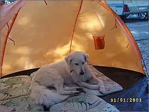 Klicken Sie auf die Grafik fr eine grere Ansicht

Name:	087.jpg
Hits:	69
Gre:	80,1 KB
ID:	279573