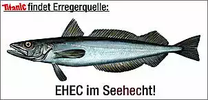 Klicken Sie auf die Grafik fr eine grere Ansicht

Name:	Erregerquelle 2.jpg
Hits:	64
Gre:	26,8 KB
ID:	289863