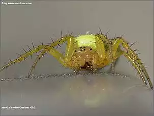 Klicken Sie auf die Grafik fr eine grere Ansicht

Name:	makro015.jpg
Hits:	109
Gre:	48,2 KB
ID:	300355