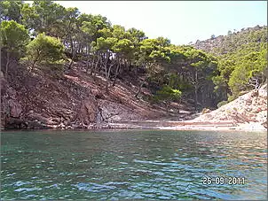 Klicken Sie auf die Grafik fr eine grere Ansicht

Name:	Mallorca 09.2011 186.jpg
Hits:	154
Gre:	151,1 KB
ID:	313023