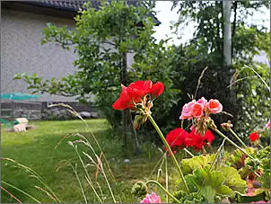 Klicken Sie auf die Grafik fr eine grere Ansicht

Name:	180.jpg
Hits:	78
Gre:	190,9 KB
ID:	369913
