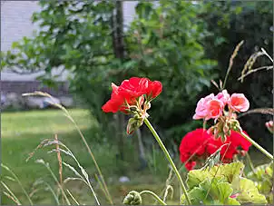 Klicken Sie auf die Grafik fr eine grere Ansicht

Name:	191.jpg
Hits:	75
Gre:	198,4 KB
ID:	369915