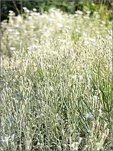 Klicken Sie auf die Grafik fr eine grere Ansicht

Name:	222.jpg
Hits:	69
Gre:	192,9 KB
ID:	369918