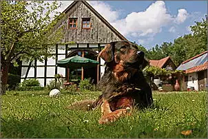 Klicken Sie auf die Grafik fr eine grere Ansicht

Name:	Haus mit Hund .jpg
Hits:	86
Gre:	117,1 KB
ID:	372683