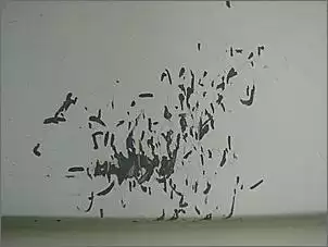 Klicken Sie auf die Grafik fr eine grere Ansicht

Name:	Osmose 2 004.jpg
Hits:	179
Gre:	41,9 KB
ID:	391970