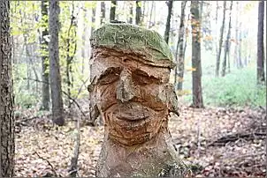 Klicken Sie auf die Grafik fr eine grere Ansicht

Name:	Wald 033.jpg
Hits:	136
Gre:	100,1 KB
ID:	403370