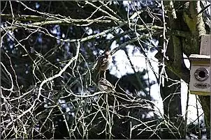 Klicken Sie auf die Grafik fr eine grere Ansicht

Name:	_IGP1770.jpg
Hits:	86
Gre:	135,2 KB
ID:	410351