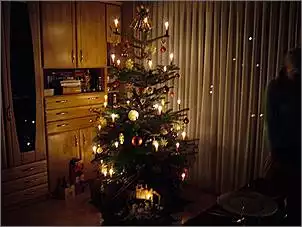Klicken Sie auf die Grafik fr eine grere Ansicht

Name:	Christbaum 005.jpg
Hits:	67
Gre:	49,2 KB
ID:	419150