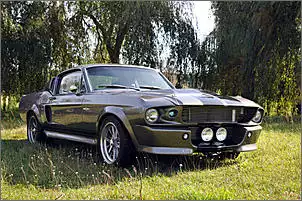 Klicken Sie auf die Grafik fr eine grere Ansicht

Name:	Ford Mustang GT 500 ,,60 seconds Eleanor''.jpg
Hits:	75
Gre:	92,0 KB
ID:	419762