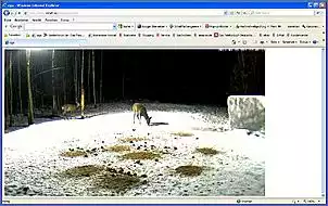 Klicken Sie auf die Grafik fr eine grere Ansicht

Name:	4.jpg
Hits:	94
Gre:	95,4 KB
ID:	422317