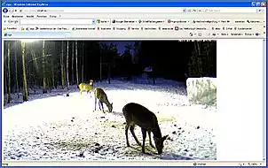 Klicken Sie auf die Grafik fr eine grere Ansicht

Name:	Rehe 1.jpg
Hits:	108
Gre:	95,1 KB
ID:	424251