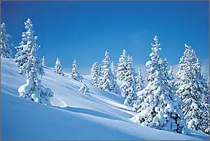 Klicken Sie auf die Grafik fr eine grere Ansicht

Name:	Winter.jpg
Hits:	62
Gre:	48,9 KB
ID:	424319